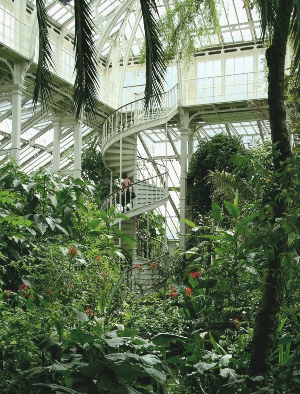 Nos plantes