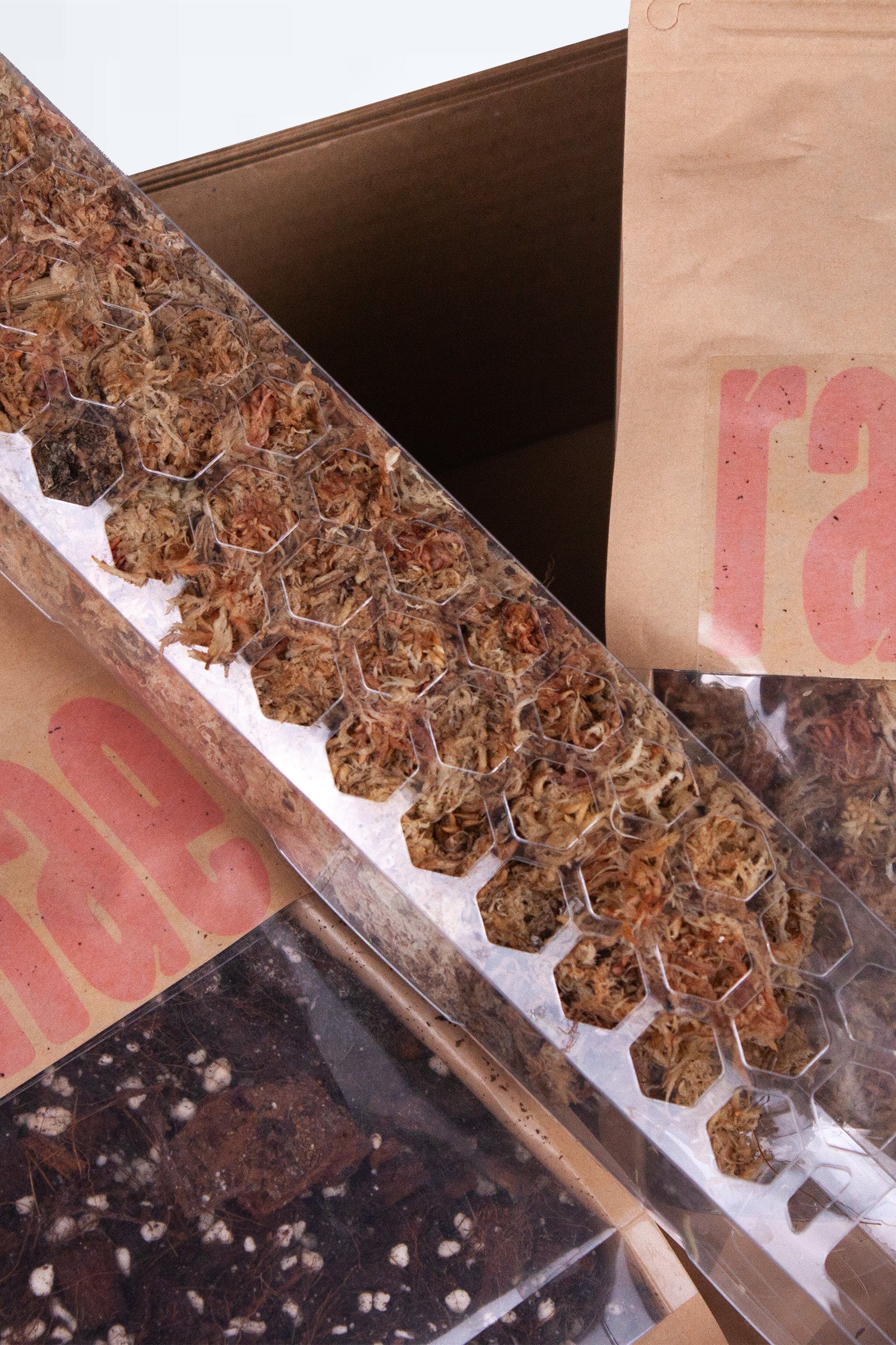 Pack Découverte Tuteur