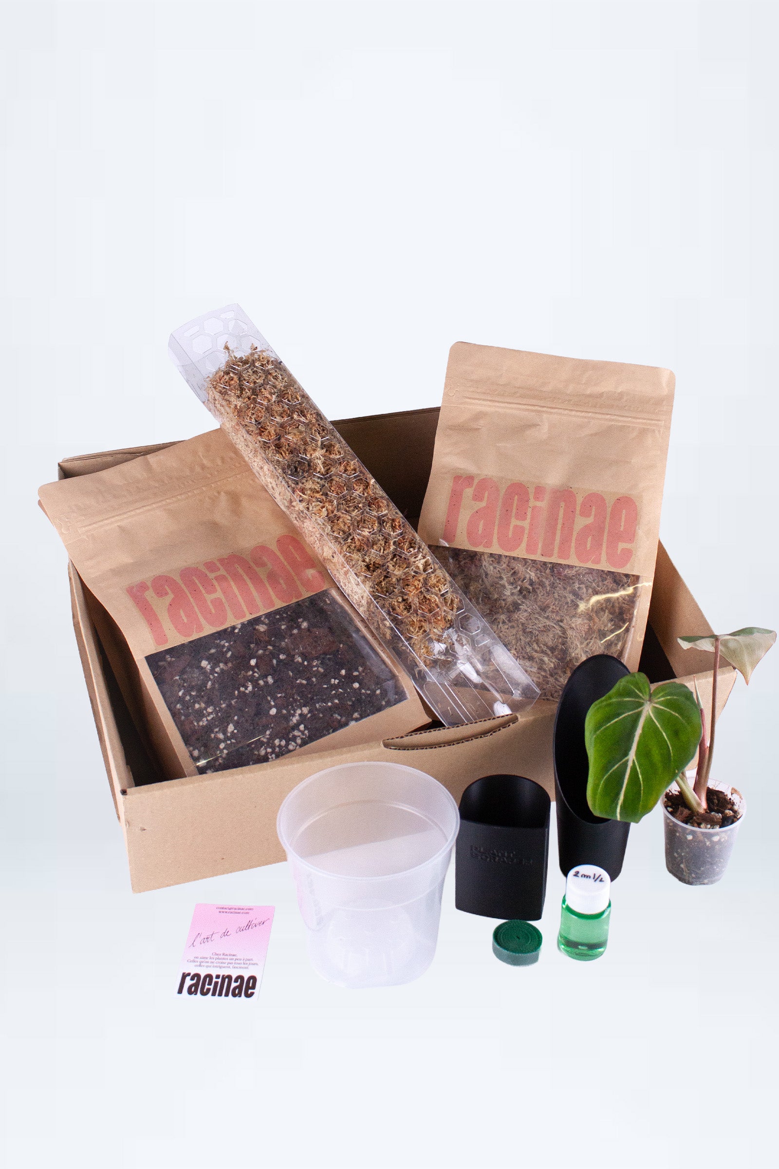 Pack Découverte Tuteur