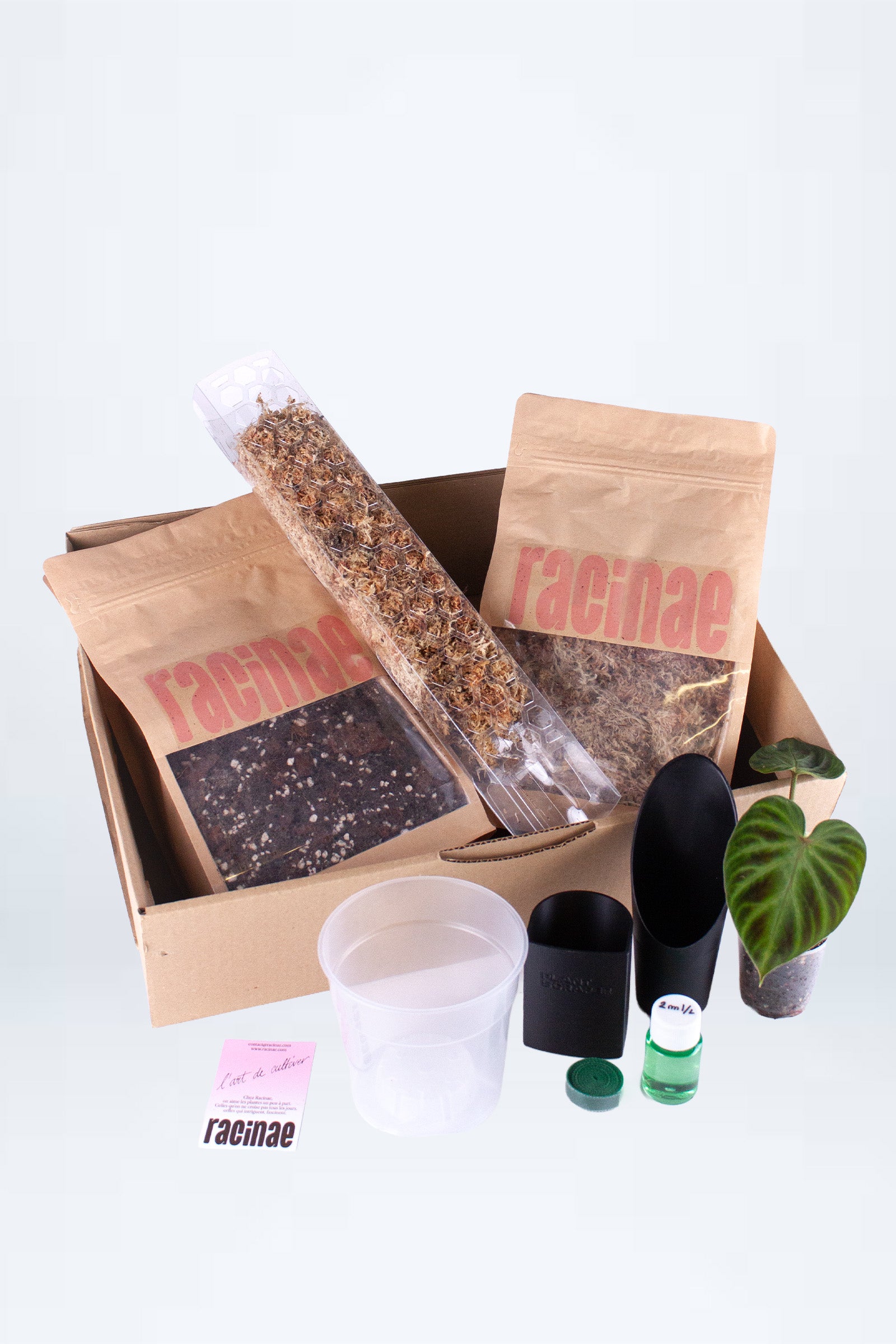 Pack Découverte Tuteur