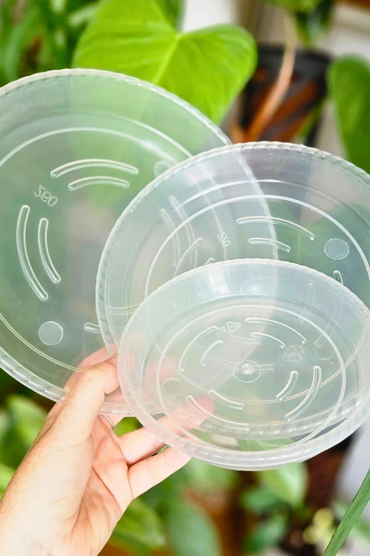 Soucoupes Transparentes