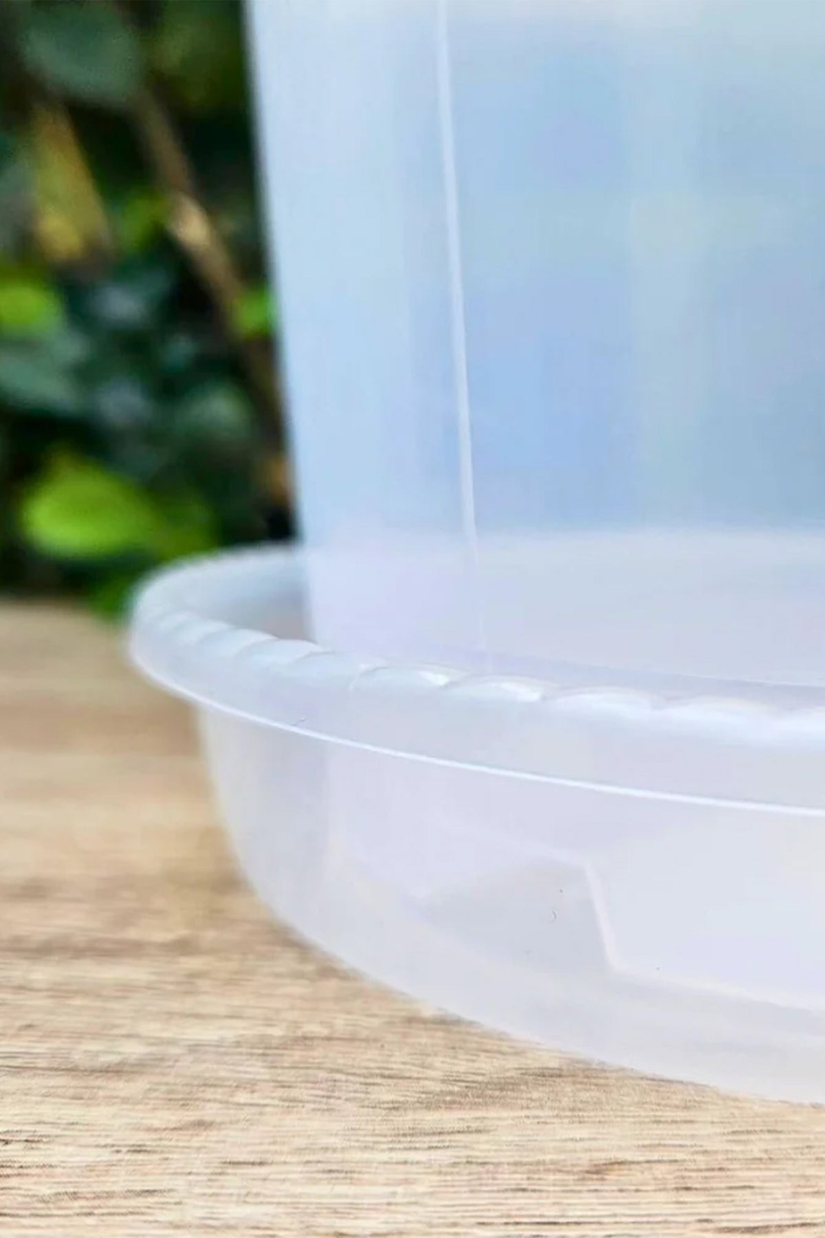 Soucoupes Transparentes
